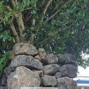 하례학림로 이미지