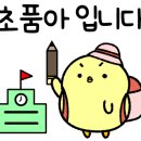 세종로237번길 이미지