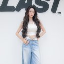 프리지아 이미지