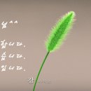 시온상사 이미지