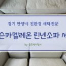 용호1로 16번길 이미지