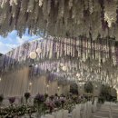 글로스터호텔 인천 | 글로스터호텔 인천 스몰웨딩홀 후기(계약O)