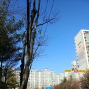 [천안쌍용도서관] 프린트 출력, 플라이북 스크린, 운영시간 등 최신정보 공유해요!