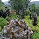 고라데이마을 이미지