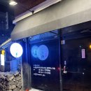 [제주도] 제주도 혼술바 [자유의지 2] 다녀온 후기