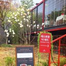 새천안교통 | 천안 실내 아이와 가볼만한곳 경치좋은 카페 후기
