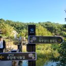 쑥부쟁이(용산저수지)둘레길 이미지