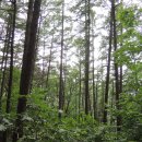 치악산둘레길 11코스 한가터길 이미지