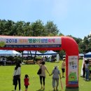 맹꽁이연구소 이미지