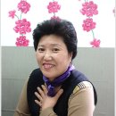 한방메기탕 Daum카페