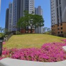 초대박봉담프라이드시티공인중개사사무소 이미지