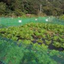 동구농장 이미지