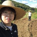 정주네농장 이미지