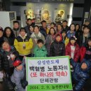 늘 푸른 나무 이미지