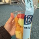 From 몬트리올 To 퀘벡시티 (부제 : 도깨비 성지순례)