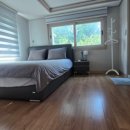 오소록헌디 이미지