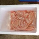 낭만꼼장어 이미지