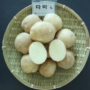 다미연구소