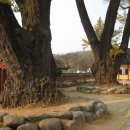 영광향교 이미지