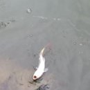 옥포낚시터 이미지