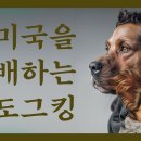 도그킹 이미지