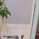 월드전자 이미지