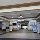 용평제1차콘도미니엄(용평콘도) | [ 모나용평 콘도 ] 마운팅코스터 가격 할인 및 후기 &amp; 볼링장, 루지 놀거리 &amp; 맛집 추천