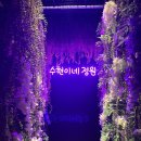 정원포차 티스토리