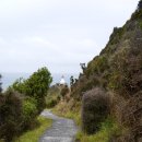 코끼리캠핑장 | [뉴질랜드 남섬 캠퍼밴 여행] 너겟 포인트 등대 &amp; 펭귄 전망대 후기 (+무료 캠핑장 정보)