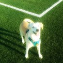 대정문화체육센터 이미지