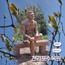 목련나무집 | 태안 <천리포수목원> 목련축제 목련 다 피었음! 진짜 후기 5월 국내여행 당일치기 추천