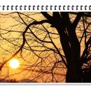 나연환경 이미지