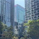 팻스타 | 홍콩 4박 5일 여행 ㅣ 페리타고 침사추이 타기, 헤이티, 베이크 하우스 에그타르트, 윙팻 씨푸드