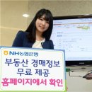 부동산정보와 경매 이미지