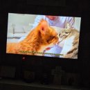 텃골로 33번길 이미지