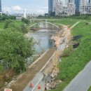 나성동_다정교 이미지