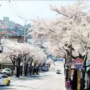 불백시락국국수 | 재송동 기사식당 돼지불백 후기