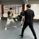 마스터황의택견