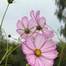 연천신답리고분 이미지