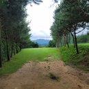 정월골프클럽 이미지