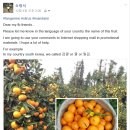 오부자농장 이미지