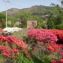 준구농장 이미지