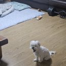 수원 가득한 행복한 일상 찾기