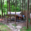 치유의 숲 야영장 이미지