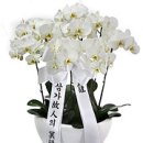 용성1리 이미지