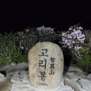 지리산 서북능선 종주 (2023-5-13) - 바래봉 철쭉 산행 이미지