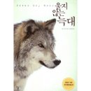 돌베개