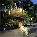 고성;숙 | 내돈내산 고성 반려견동반 숙소 추천 주성리조트 파인포레스트에서 숲캉스 제대로 즐긴 1박 2일 후기