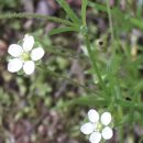 어침이공원 이미지