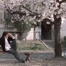 꽃피는 봄이 오면 이미지